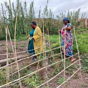 3ed8f87a-5606-453c-8cf7-823ce4ea4d9b