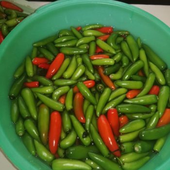 6f5c1ebf-28e5-4245-b25a-8a6cb4953673