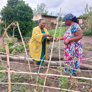 8ccef83e-ef3d-4df9-a552-26eb74ba1960